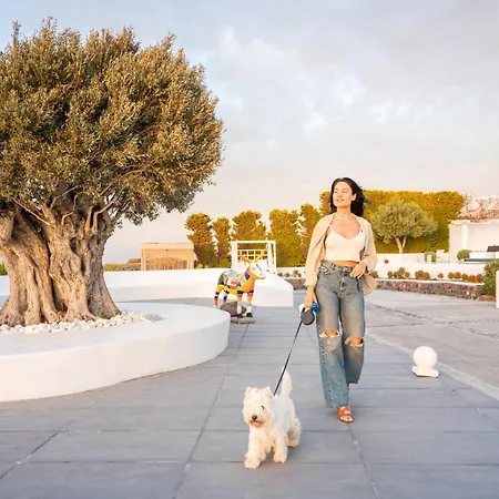 Sunset Villa Oia (Santorini)